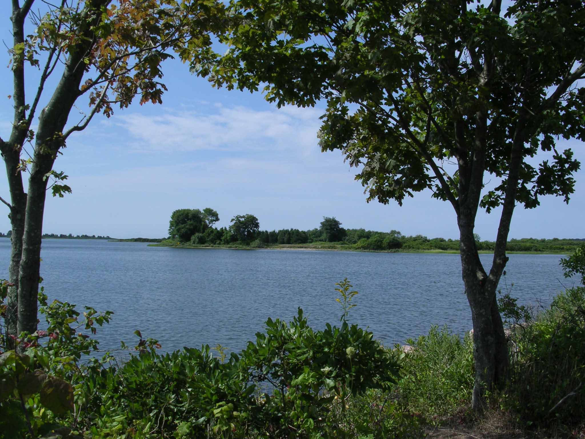 Bluff Point State Park